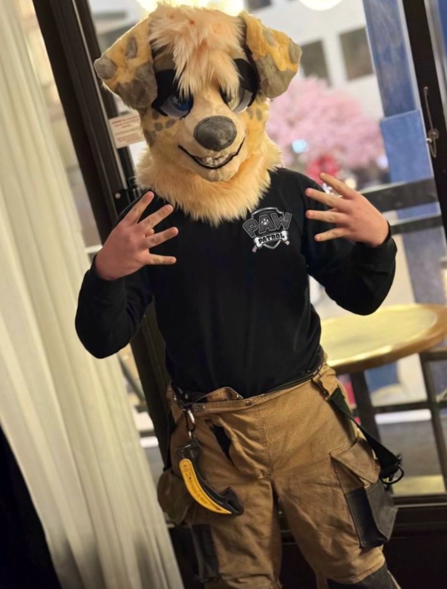 Mozzie :3 🔜 Fur-Eh tweet media