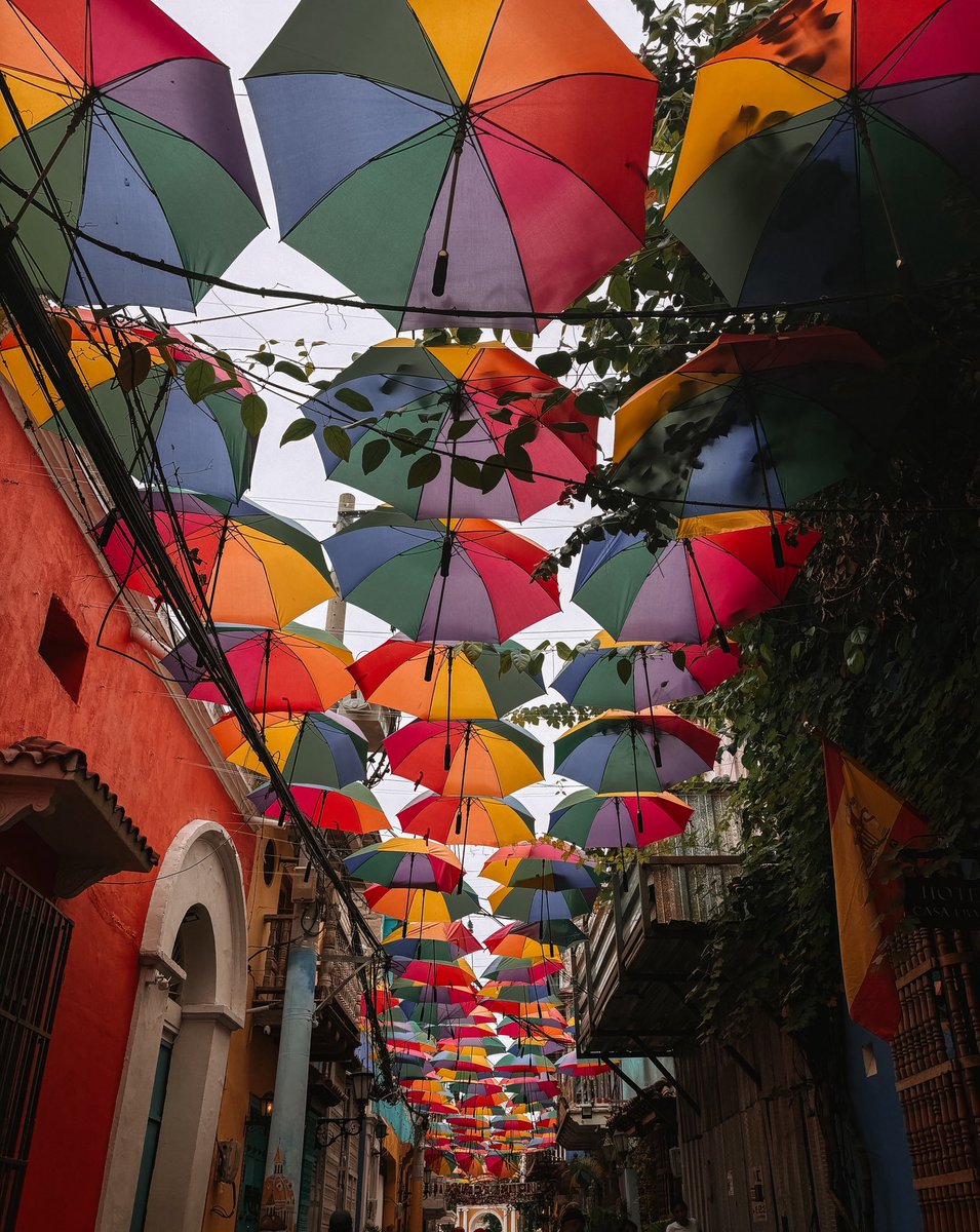 SpaceCoastCRE's tweet image. You are the boss, you are the boss 🎶
- Cartagena, Colombia