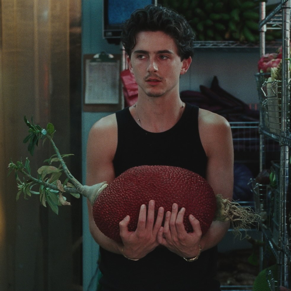 timotheeupdates's tweet image. 📲 | Timothée Chalamet (tchalamet) via Instagram:
“UPDATE UR PAYMENT METHODS @cashapp 🍆🤍🍆 #ad”