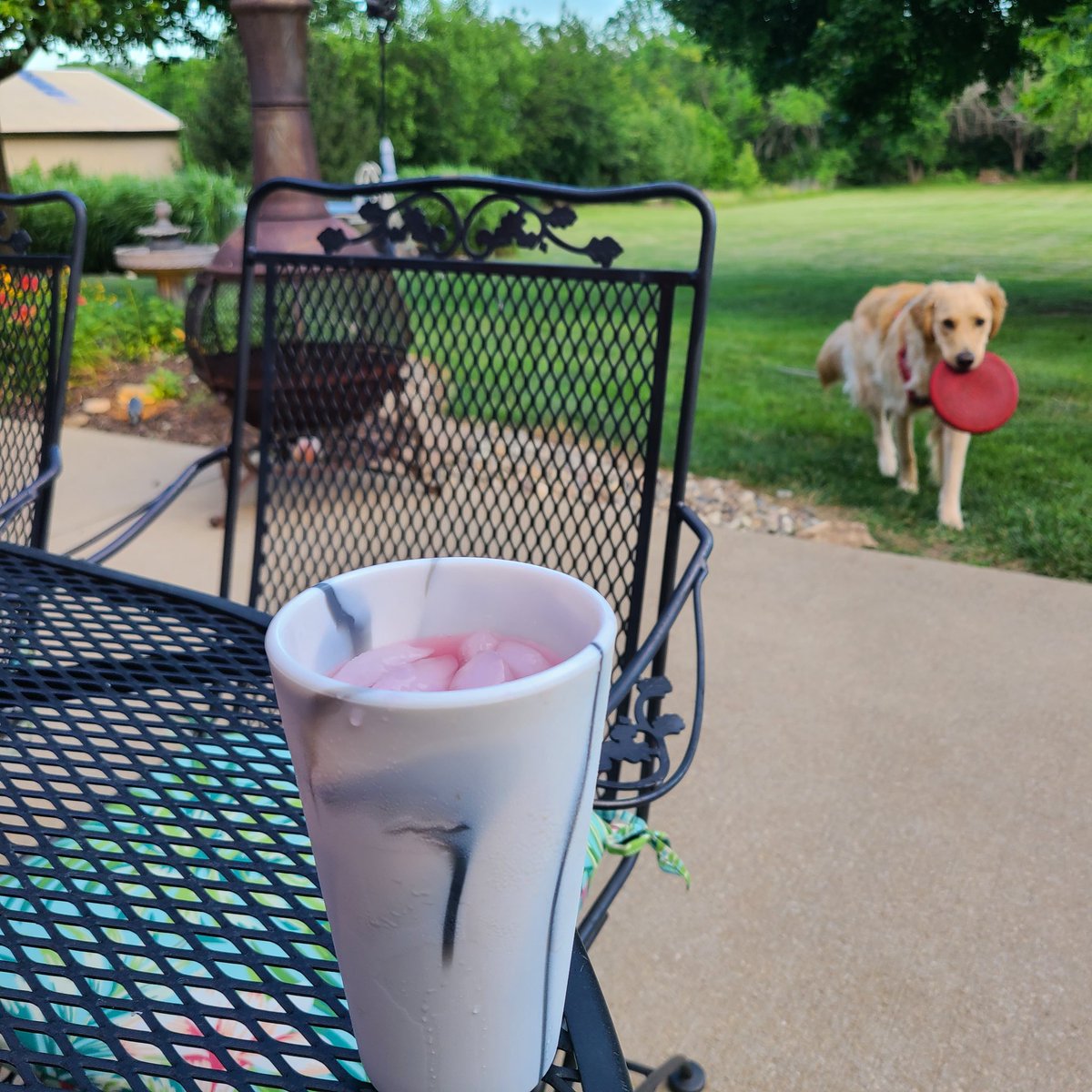 Topher66013's tweet image. Hump Day Happy Hour, Parts I and II