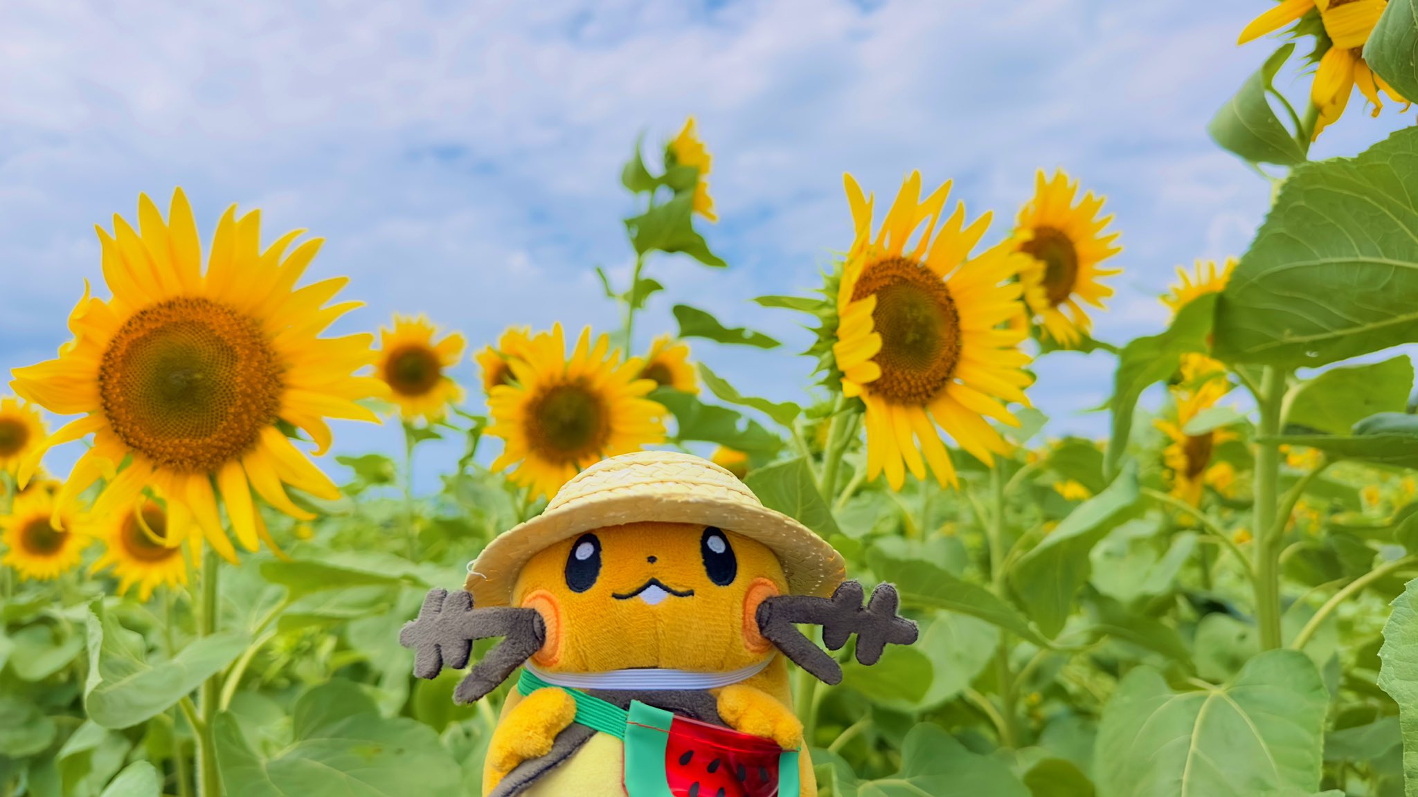 ポケモン - ひまわり Amazon.com: Takaratomy Pokemon Sun & Moon EHP-07 - Ultra