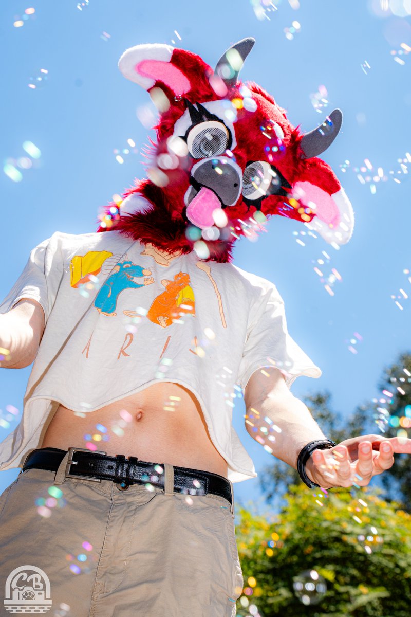 Bo_plap's tweet image. Who am I seeing at furvine this weekend?