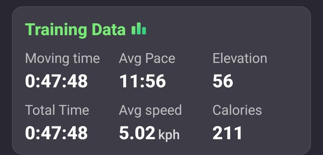 Im that motivated im not lying