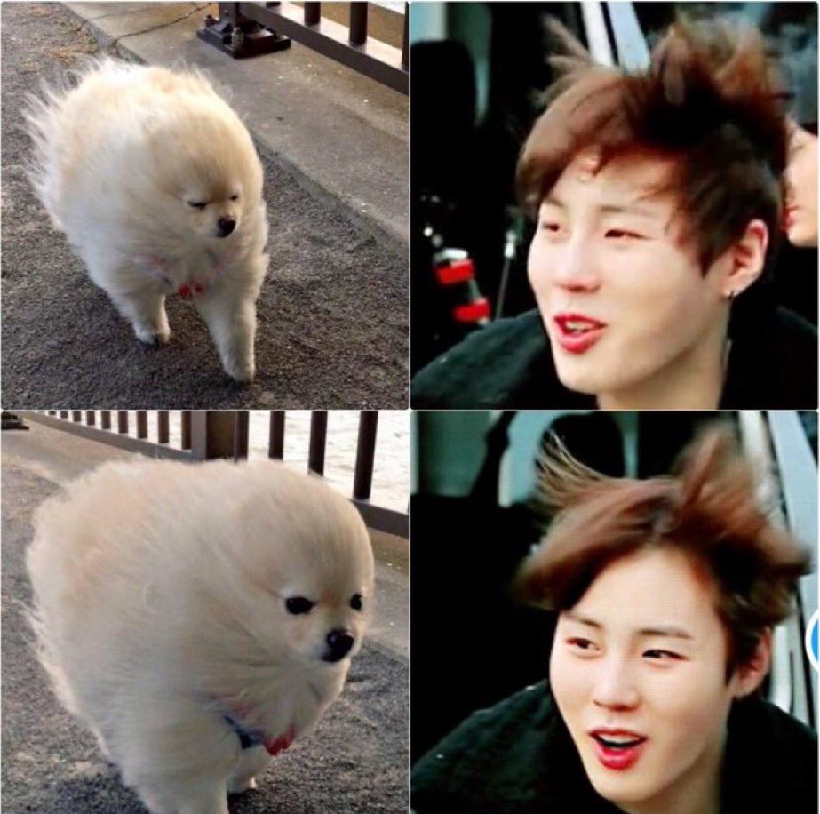 4ever_hsw's tweet image. 날아갈뻔했슨