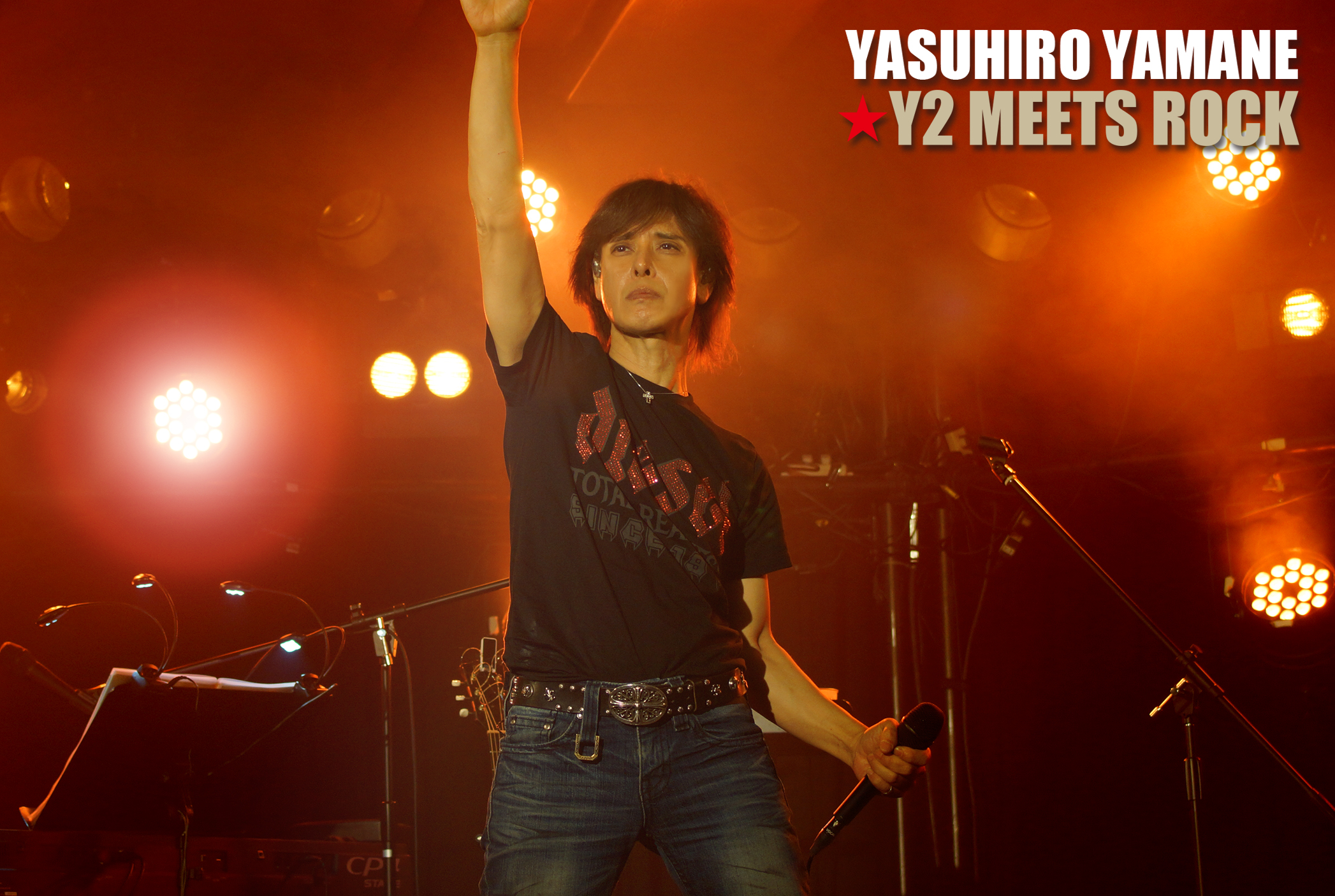山根康広 10thライブ 本人使用ギターピッグ 山根康広 10thライブ 本人使用ギターピッグ