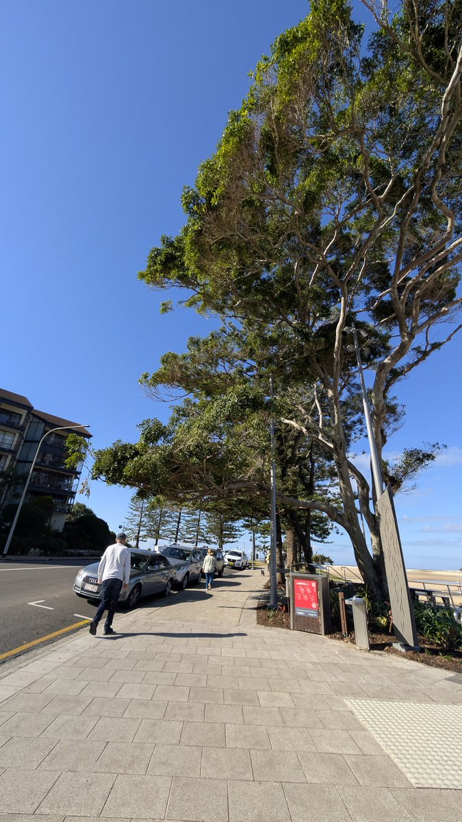 Good morning, <a href="/VisitCaloundra/">Caloundra</a> ☀️👋 <a href="/Queensland/">Queensland Australia</a>