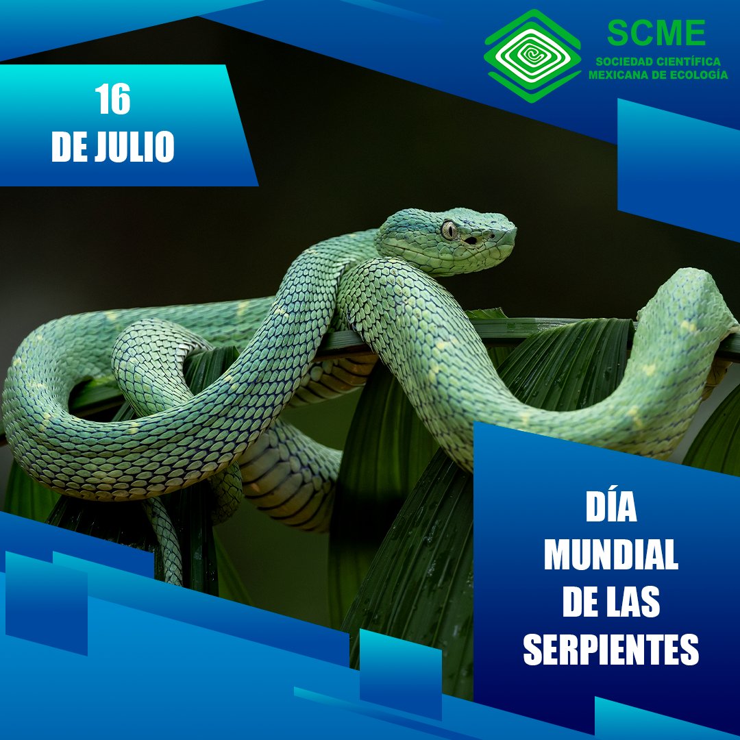 Sociedad Científica Mexicana de Ecología tweet media