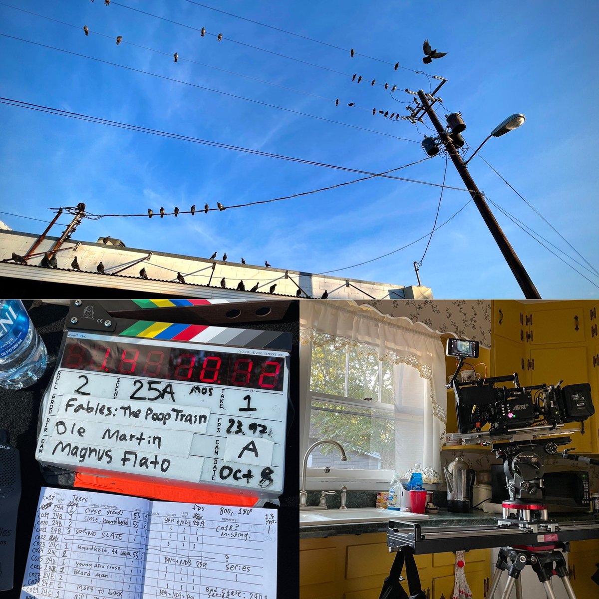 Eli McGowan tweet media