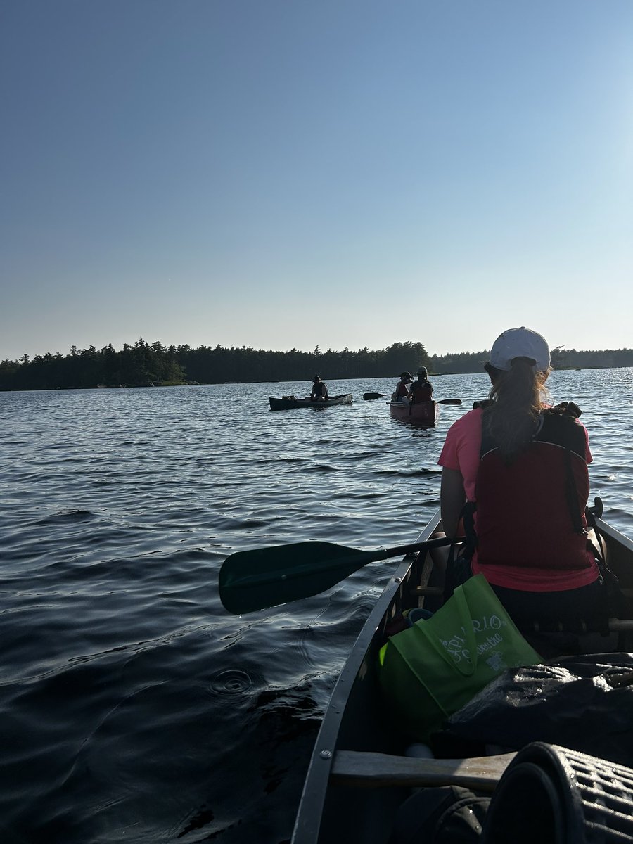 measure_plan's tweet image. I’m building a canoe-camping simulator
vibe-coded with grok 4, threejs, webgl shaders, and motherNature.js
AMA