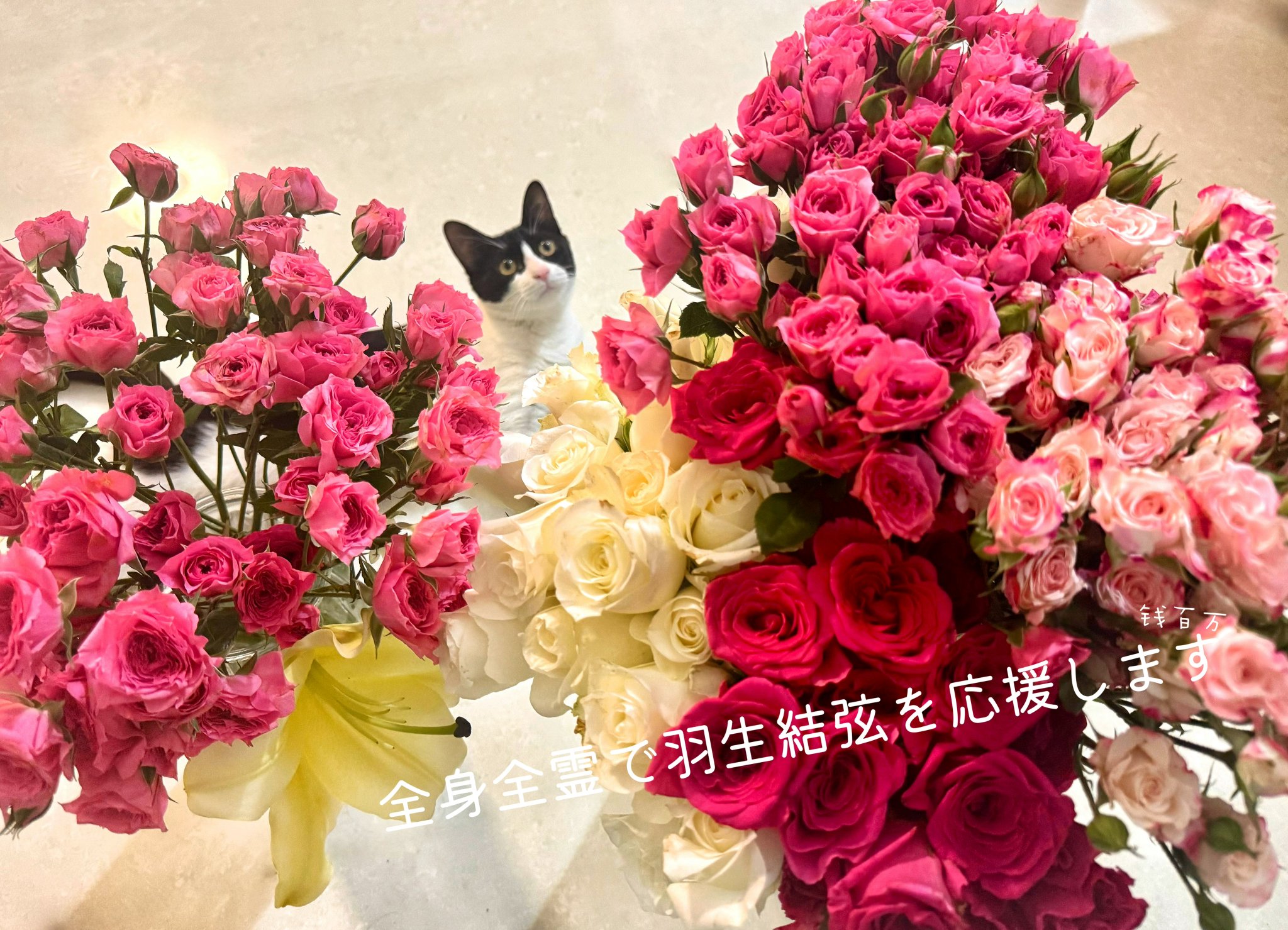 羽生結弦ハンドメイド　クロベエのママ 36445-395-