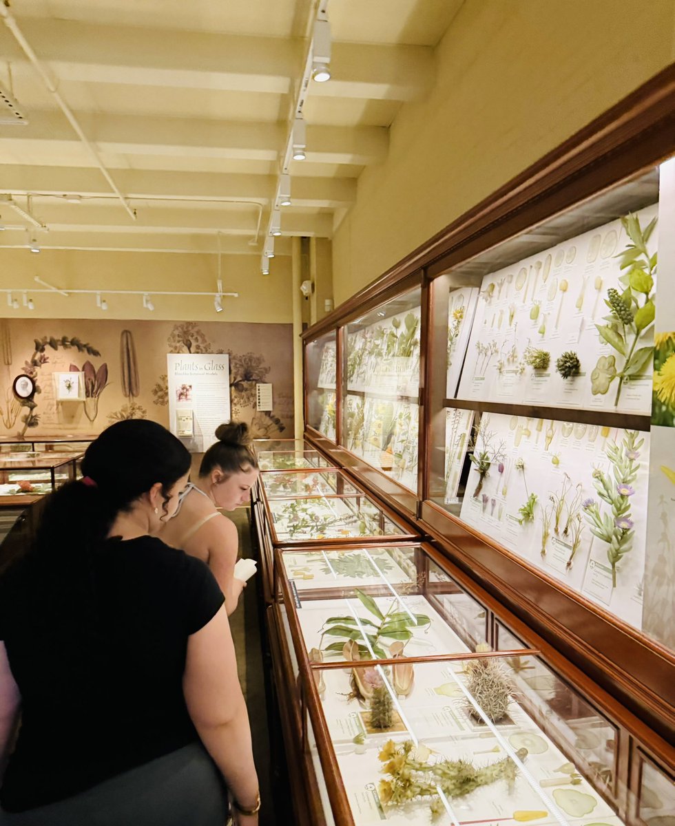 CityLab Revere tweet media