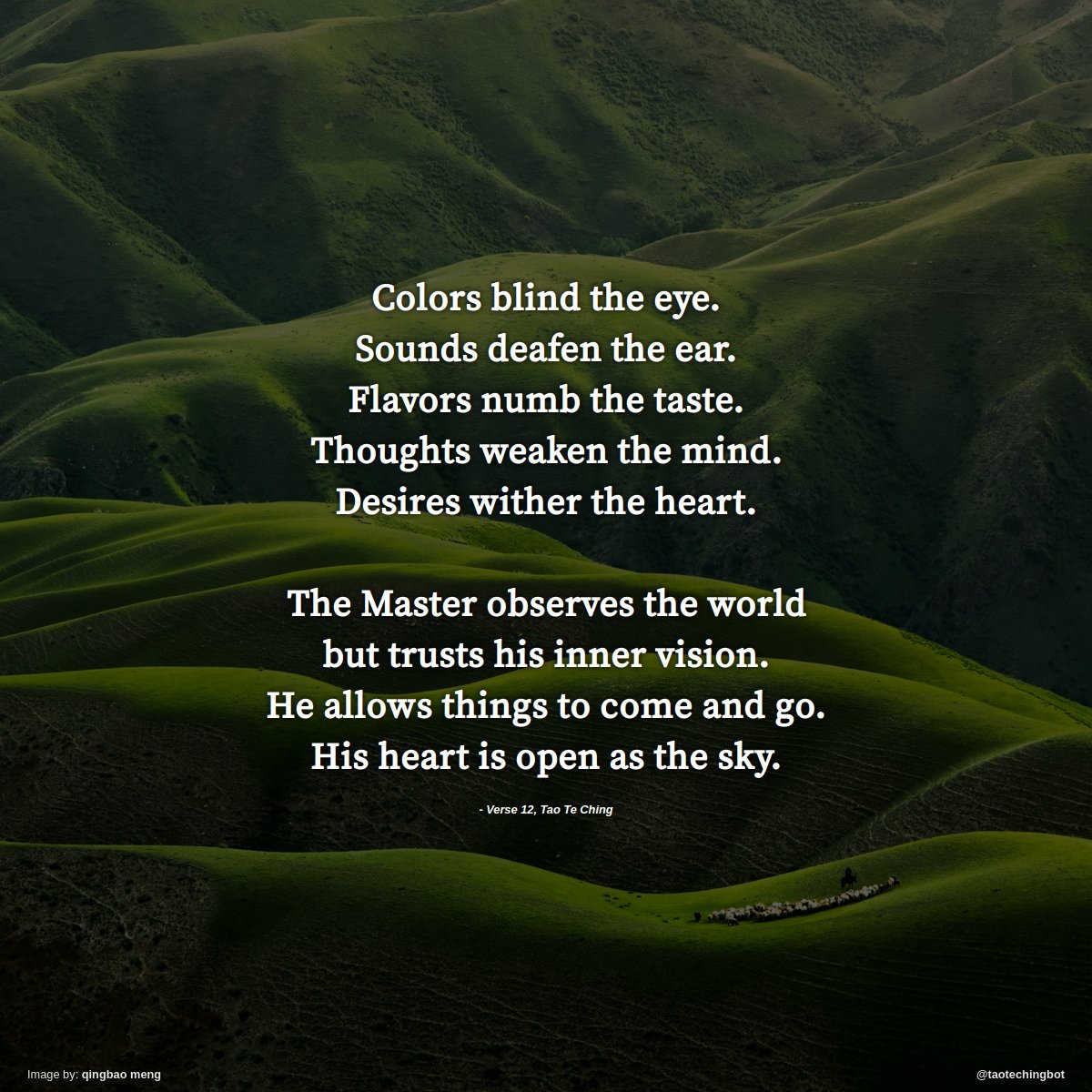taotechingbot's tweet image. Verse 12 of The Tao Te Ching. #TaoTeChing #Laozi #Tao #LaoTzu #Taoism #BookOfTheWay