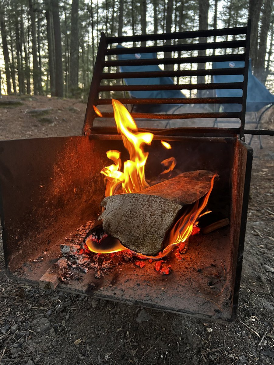 measure_plan's tweet image. I’m building a canoe-camping simulator
vibe-coded with grok 4, threejs, webgl shaders, and motherNature.js
AMA