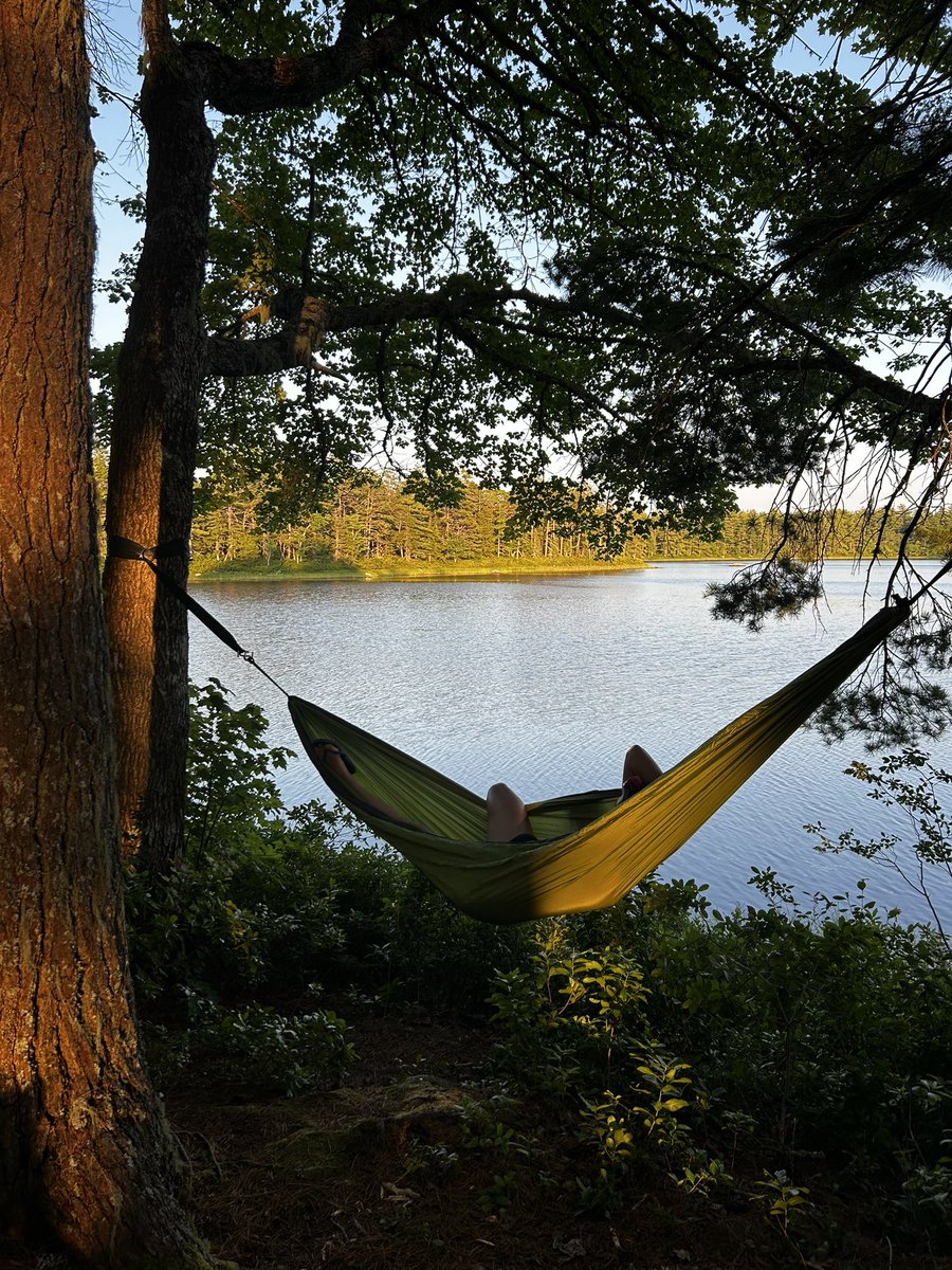 measure_plan's tweet image. I’m building a canoe-camping simulator
vibe-coded with grok 4, threejs, webgl shaders, and motherNature.js
AMA