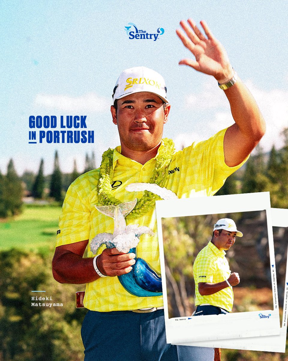 The Sentry tweet media