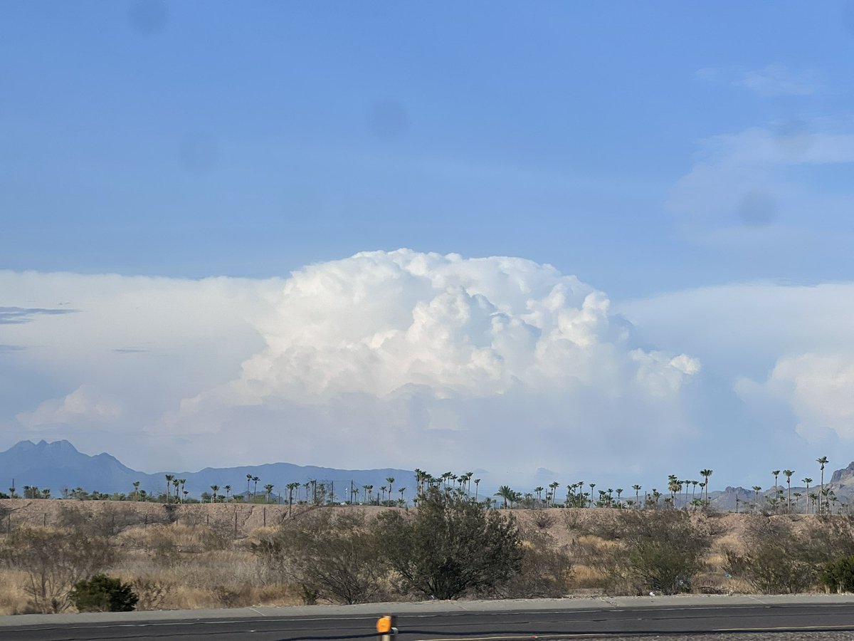 AZStormChase's tweet image. Powerful thunderstorm erupting on the Mogollon Rim NE of Phoenix this afternoon #azwx