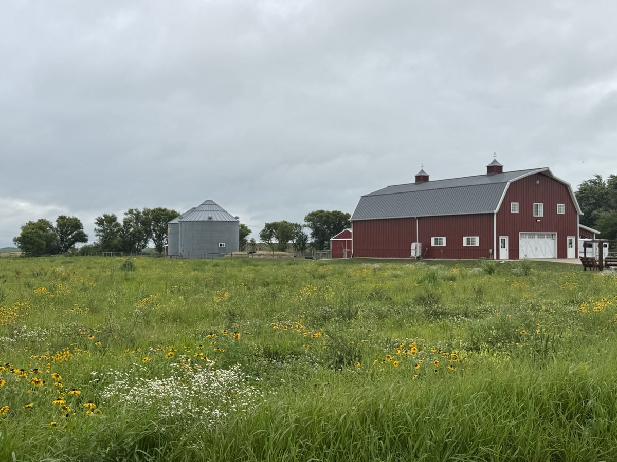 Blooming flowers in my pollinator habitat contrast with this evening’s cloudy skies. Our current weather is giving us lots to talk about! 🌧️