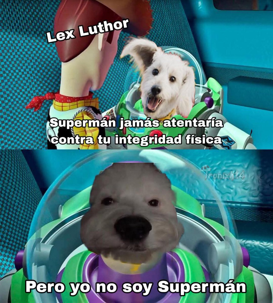 Condor Causa (@condor_causita) on Twitter photo 