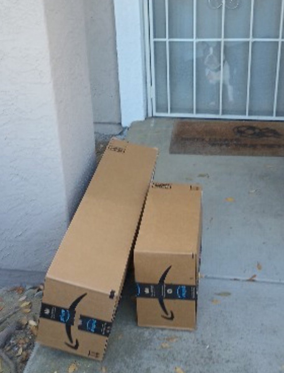 YoJaffe's tweet image. It always cracks me up when Gizmo makes the Amazon delivery photo