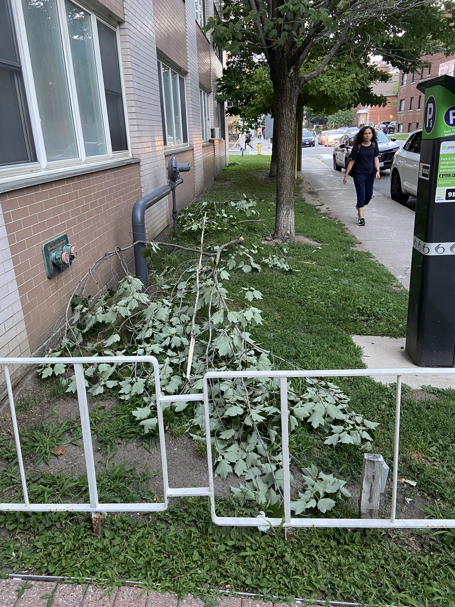 kittypants's tweet photo. Oh what a wonderful world it is when your upstairs neighbours air conditioner falls out their window and smacks mine on the way down. Mine is still working with a big dent in it 😑 #thisbuildingiscursed #itsalwayssomething #poortree #anxiety #serenitynow #summer https://t.co/yYy0Ja2g1W