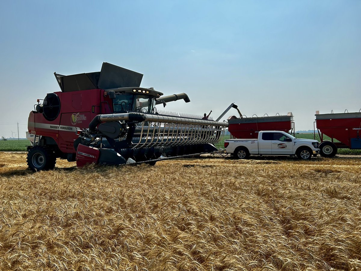 Fermes Chauvin Farms Ltd.🇨🇦 (@moechauvin) on Twitter photo Weighing of #YEN plot yesterday afternoon with <a href="/guilbeault12/">Jean Marc Guilbeault</a> Great to have good partnerships on the farm with #agronomist at #AGRIS #Cooperative <a href="/GreatLakesYEN/">Great Lakes Yield Enhancement Network</a> #OntAg <a href="/agris_coop/">AGRIS Co-operative Ltd.</a> Weighing of #YEN plot yesterday afternoon with <a href="/guilbeault12/">Jean Marc Guilbeault</a> Great to have good partnerships on the farm with #agronomist at #AGRIS #Cooperative <a href="/GreatLakesYEN/">Great Lakes Yield Enhancement Network</a> #OntAg <a href="/agris_coop/">AGRIS Co-operative Ltd.</a>