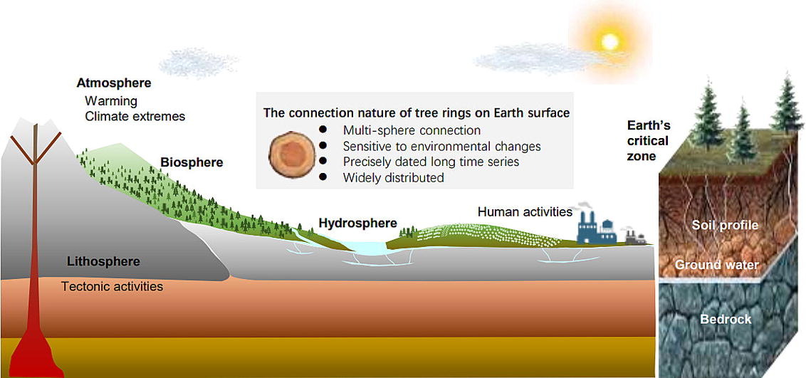Sci_Bull's tweet image. Tree rings uncover dynamic linkages of Earth spheres doi.org/10.1016/j.scib…
@isciverse @SciencNews #Geo #EarthSciences
