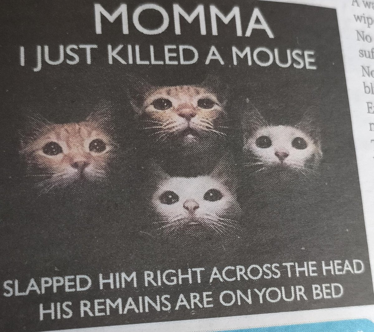 No Context Brits (@nocontextbrits) on Twitter photo 