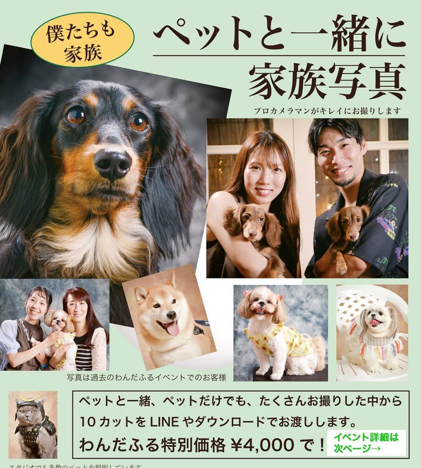 ペットと撮れるスタジオです。
夏だけはお得な料金で！