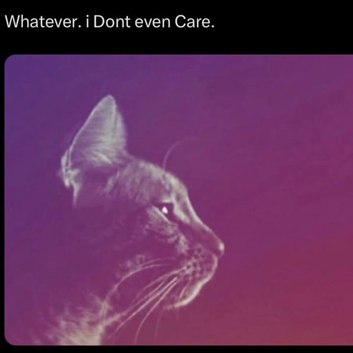 ⛧ (@vamptact) on Twitter photo 