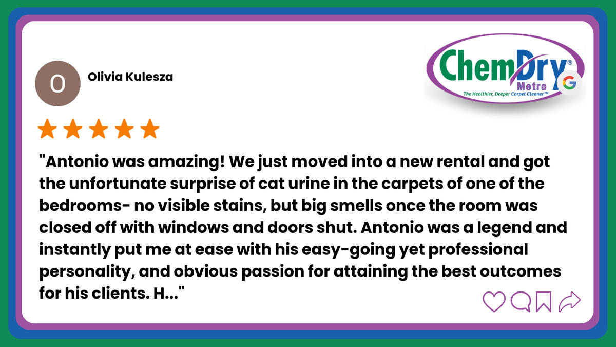 ChemdryMetro's tweet photo. Thank you, Olivia Kulesza for leaving us a review.
Read full review: https://t.co/YUxO0Vp3Hd https://t.co/TyHFfur7oD