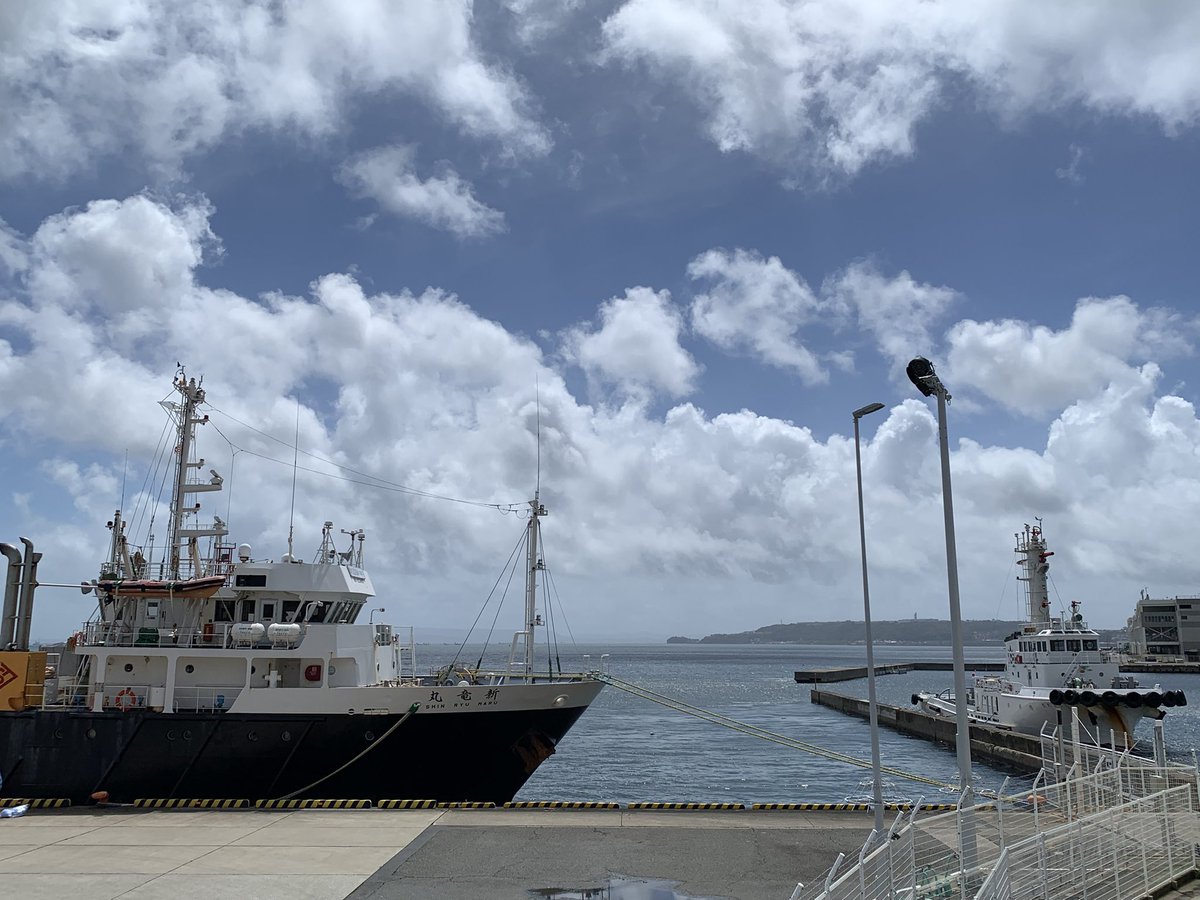 令和7年7月17日、今日の横須賀新港ふ頭のようすです。
晴れたお天気で暑さが戻り久しぶりの真夏日になりそうです。多目的作業船の新竜丸と海上災害防止センターの消防船きよたきが停泊しているのが見えます。