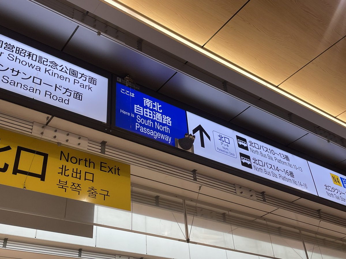 0516mariko's tweet image. こんにちは。^_^
立川駅から歩いてたけみ敬三参議院議員選挙事務所へ電話かけのお手伝いへ向かう途中、立川駅を出た通路に何やら人だかりが。ツバメの巣を発見。思わずホッとする現場で誰もが笑顔で撮影。
この巣は人工巣らしい。#東まり子 #たけみ敬三 #武蔵野市 #立川駅 #ツバメの巣…