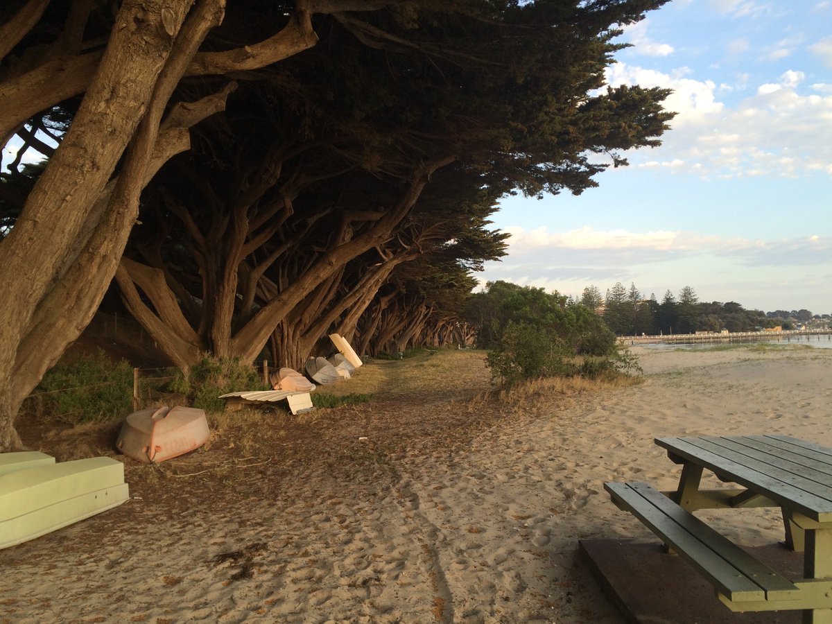 whaler_michael's tweet image. Mornington Peninsula, VIC