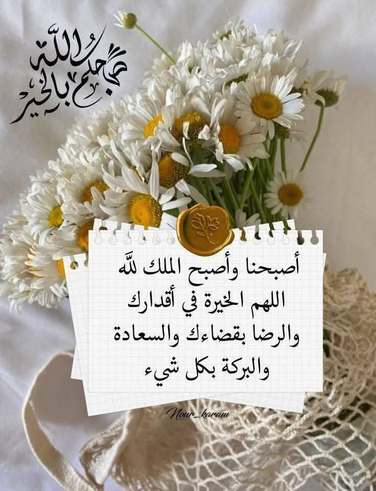 🐦  
      صباح.  🌷  المحبة 
🐦 .•°``°•.💙.•°``°•.🐦
🌿( 💙  صباح  💙  )🌿.              🐦.        الجمال         🐦
 🌿•.🦜  💙  🦜.•🌿
    🐦 °•.  🌷   .•`. 🐦 
      . 🌿   💙    🌿
           🐦🌿 🐦
  !  🌿  🌷    صباح 
   !  ..🐦  القلوب
!   .🌿🌷 الطيبه