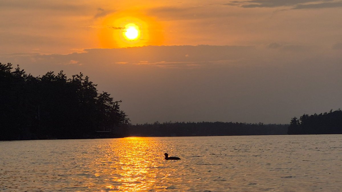 PAHoyeck's tweet image. Out in the Canadian wilderness encountering Being