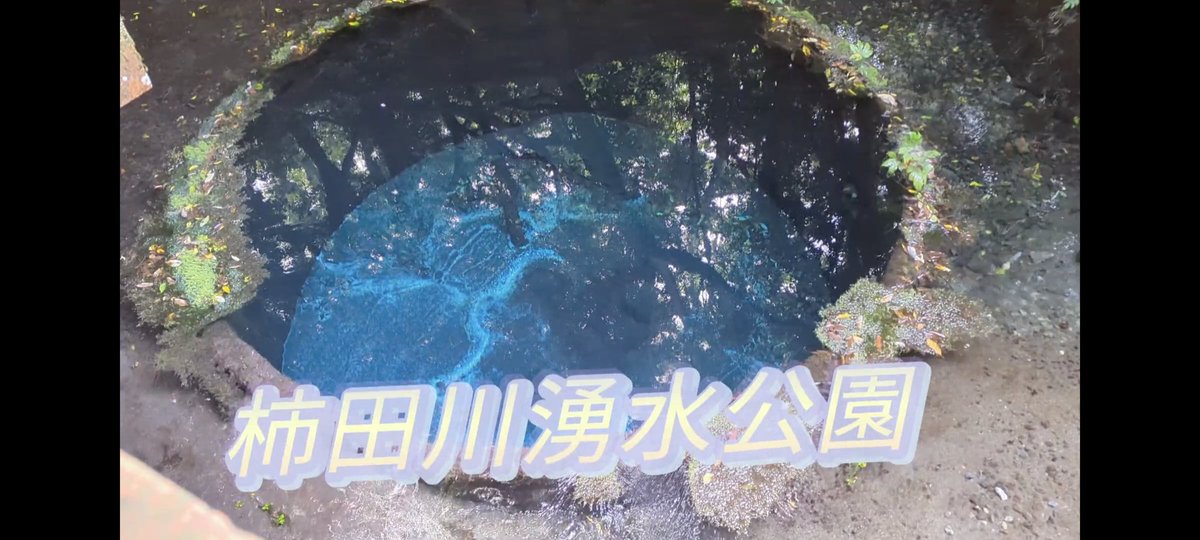 日本名水百選の名水の公園で朝散歩してきました！
夏は水遊びで賑わい
春秋はピクニックで！
近くのサントムーン柿田川でお買い物に疲れたら癒されに来てもいいですね!
動画アップしました！
youtu.be/1Ww1J5pFFDA?si…
見てね！