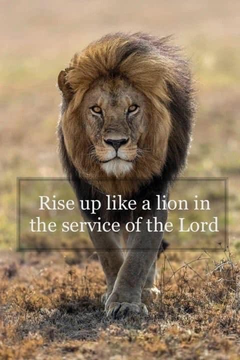 🎶 Come on and rise up, take a breath, you're alive now
    Can't you hear the voice of Jesus calling us
  Out from the grave like Lazarus 🙌

youtu.be/8RIZlNYl4ok?si…