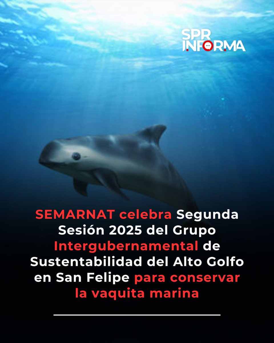 Punto de Referencia tweet media