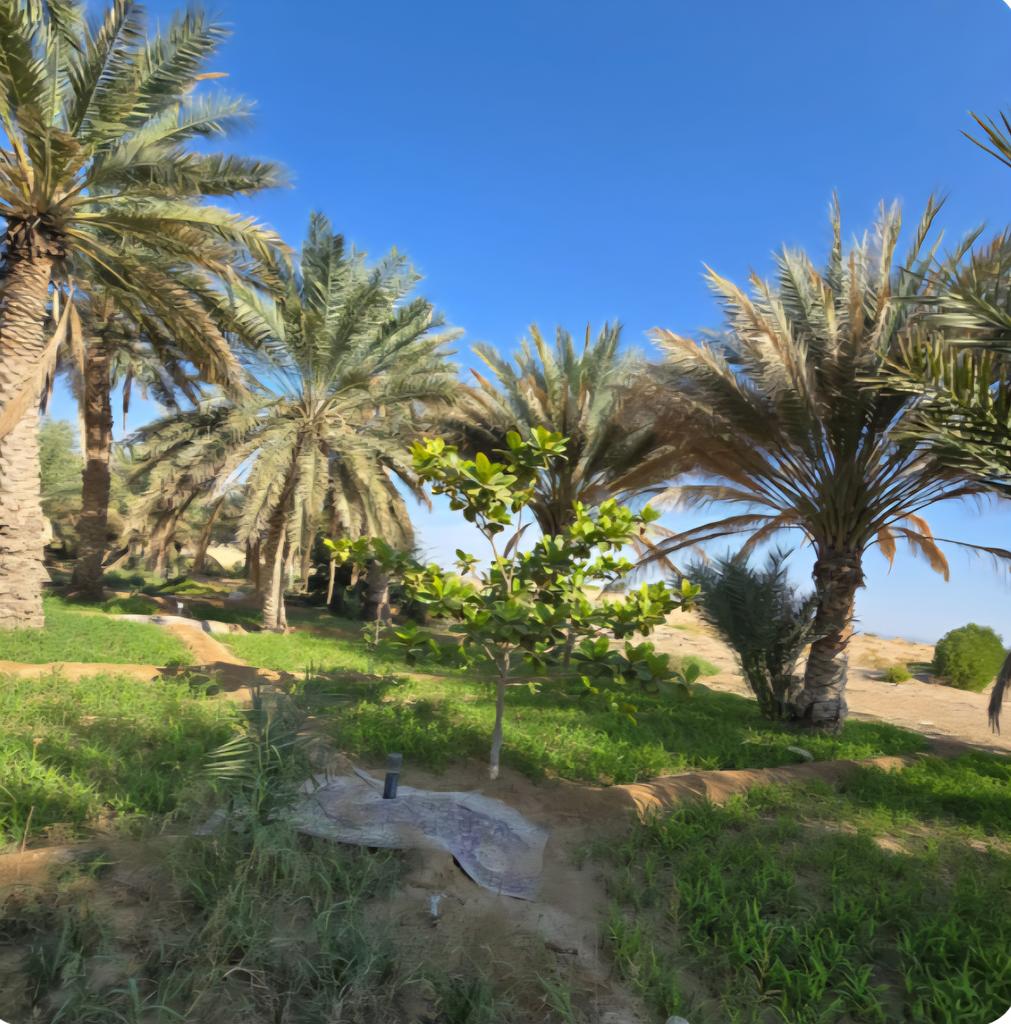 لا تثق في الكلام وقت الرخاء، فمعادن الناس تتضح وقت الشدة.
 ☘️صباح الخير ☘️