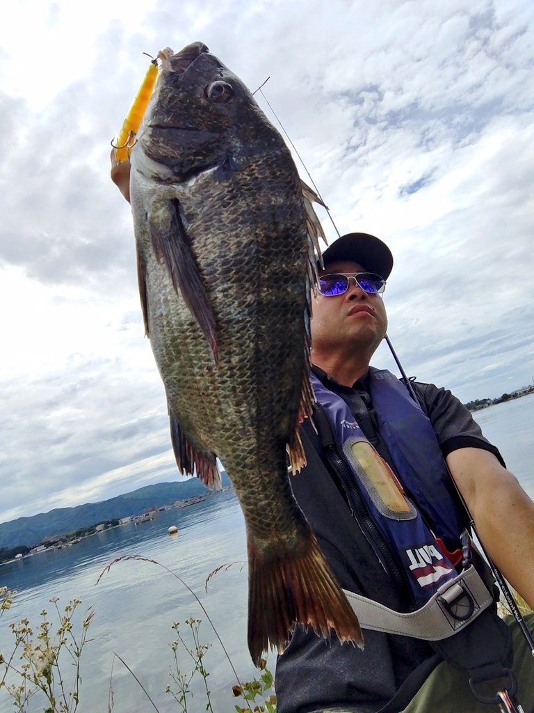 ozaki_garyu's tweet photo. 俺の夏休みパート2 佐渡
トップクロダイ最高!
サングラス:136glass
ロッド:FIDELITY PLIABLE68
ルアー:メガバス DOG-X Jr. SW
#PR #136glass #136偏光サングラス #シューユウ #眼鏡の聖地鯖江 #FIDELITY #PLIABLE68 #メガバス #ドッグXjrSW #新潟県 #佐渡島 #クロダイ #トップウォーター https://t.co/f1Zl8uE3Ob