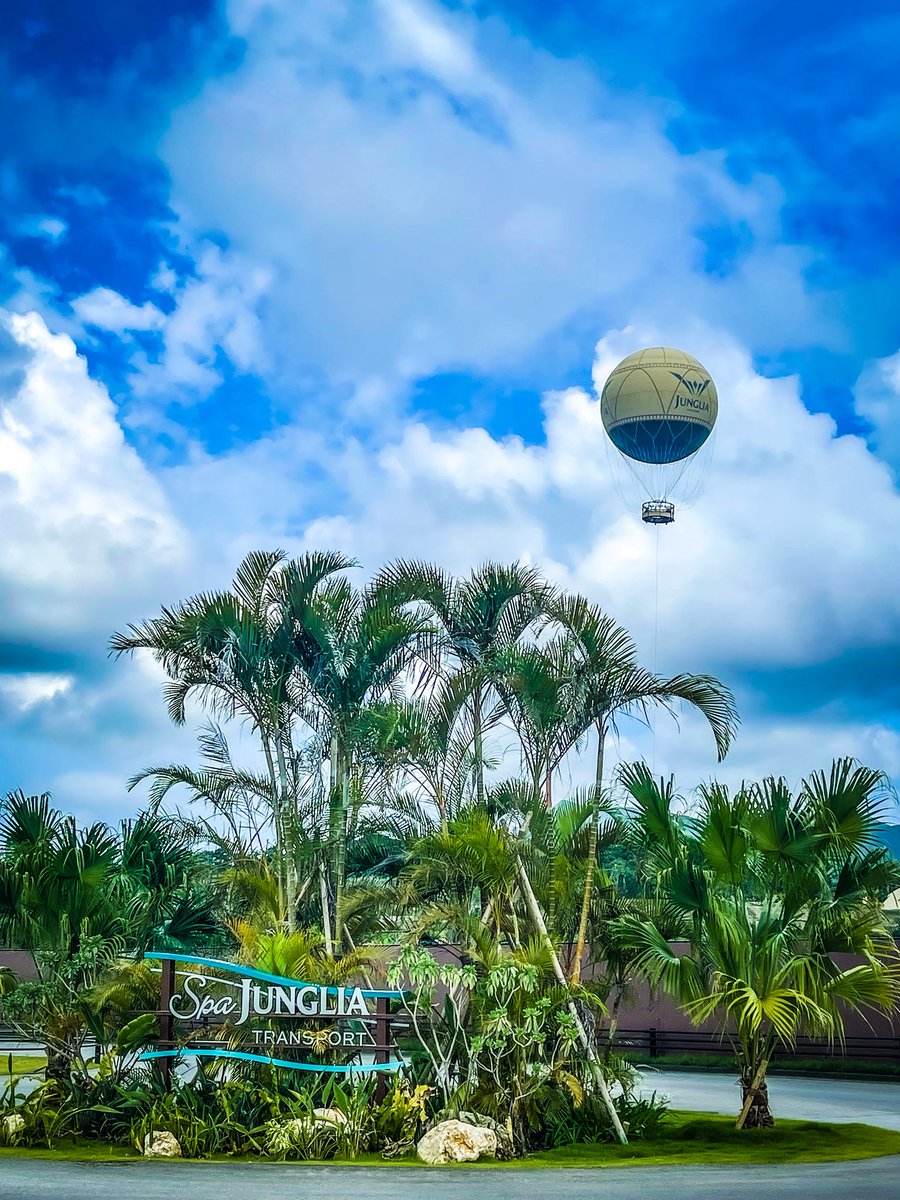 Homarey7's tweet image. 🌴ジャングリア行って来た感想🌴
《良いポイント》
・気球が幻想的でCGみたい
・ダイナソーサファリめっちゃ面白かった
・思ったより施設がしっかり作られてる
・レストラン綺麗
・子どもたちが喜ぶ演出が多い
・物販ブース楽しい(価格が意外と良心的)
・スパ最高!(気持ち良くなって帰れる)