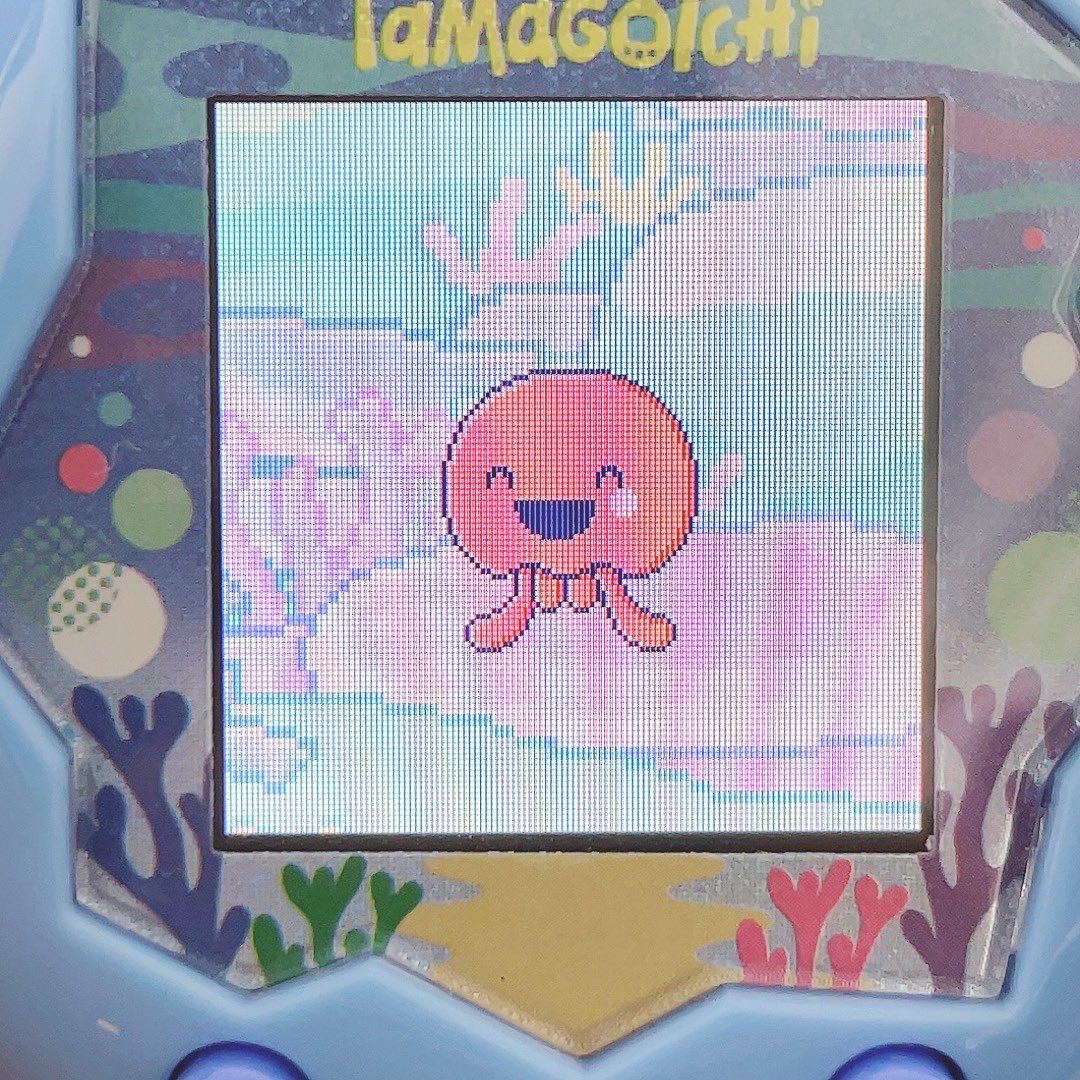 タコピーになった🐙