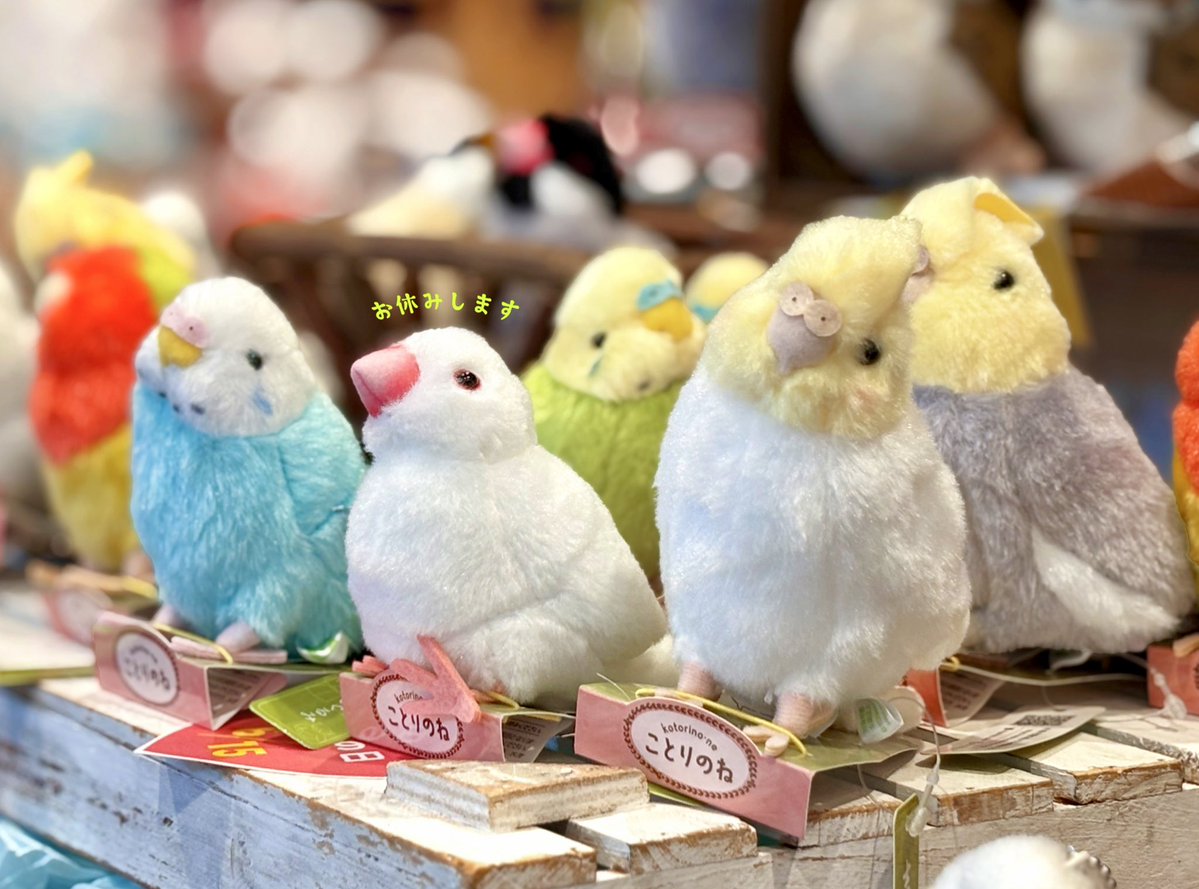 ystk_official's tweet image. 【吉徳 休業情報】
明日7/18（金）は、以下5店舗が休業となります。

《札幌店・白井店・名古屋店・大阪店・小倉店》
ご来店予定の方はお気をつけくださいませ！

なお、《浅草橋本店は26日(土)まで無休で営業》しております！😊(営業時間 9:15～17:15)

#吉徳 #休業
yoshitoku.co.jp/shop_list
