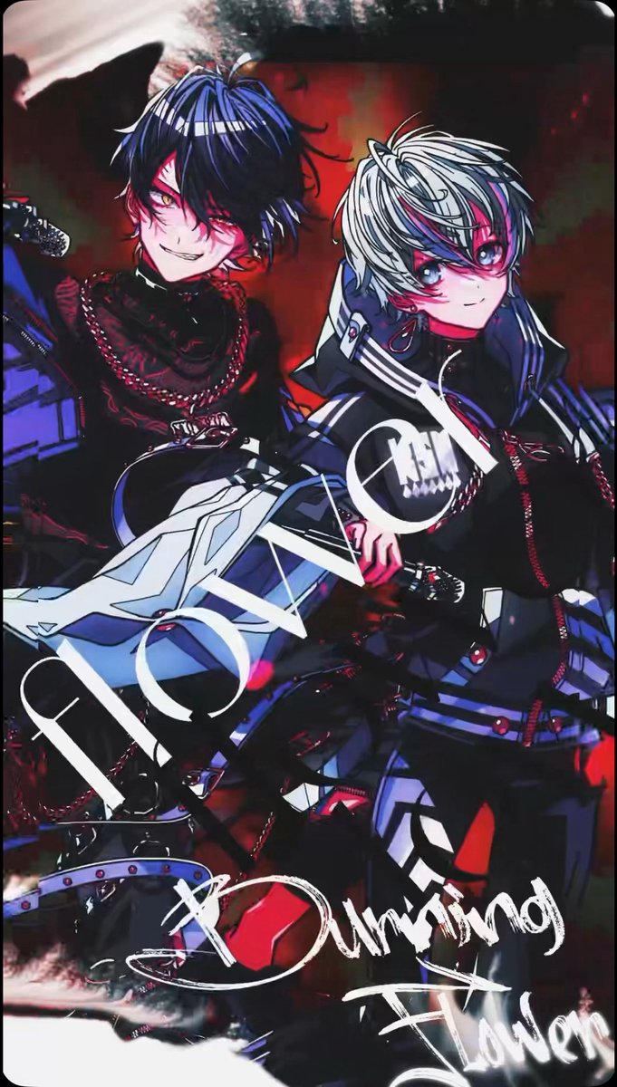 ✨きいなんページ✨ シクフォニ🎼 on X