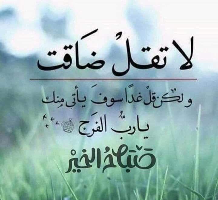 souad tweet media