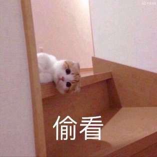 subin0717_'s tweet image. 好想揪團玩don&apos;t starve🥺