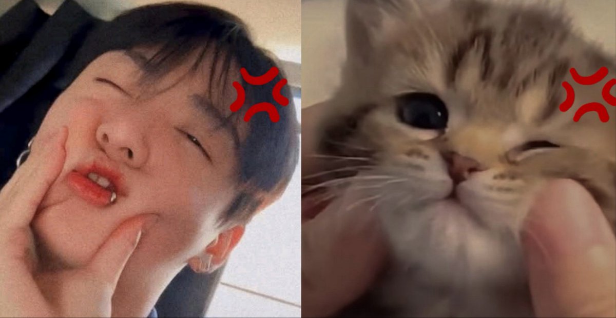 kooflwre's tweet image. 