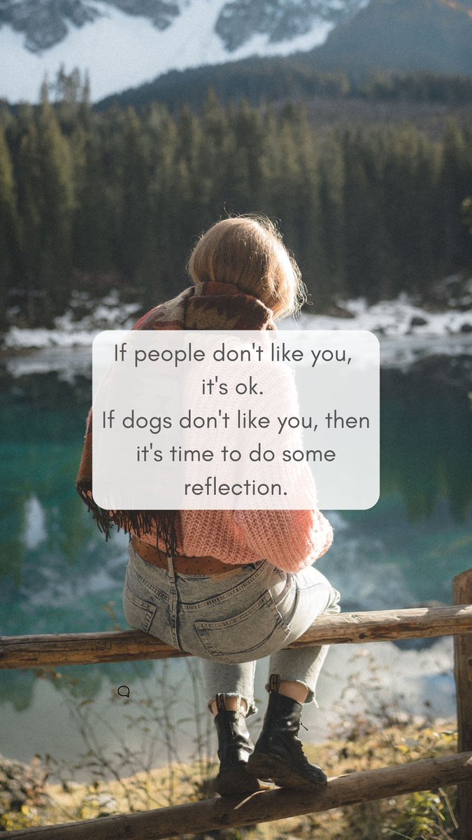 HelenWardWilson's tweet image. #relationship #dog #judgmental