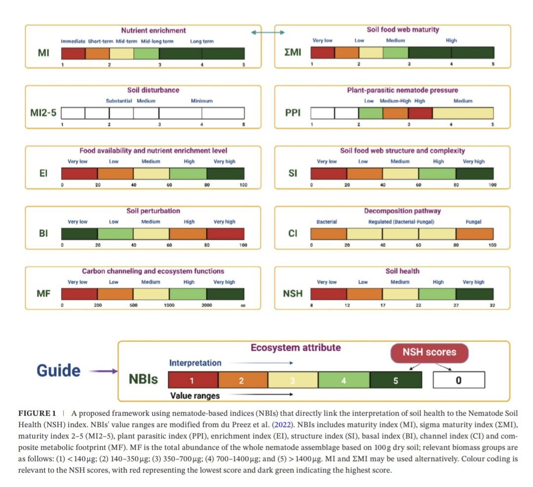 Reza Ghaderi (@rghaderi294) on Twitter photo In our work as a part of Soil Fauna project at <a href="/UniMelb/">University of Melbourne</a>, we present a new biological indicator of soil health by implementing nematode-based indices. Please see it here: bsssjournals.onlinelibrary.wiley.com/doi/full/10.11… In our work as a part of Soil Fauna project at <a href="/UniMelb/">University of Melbourne</a>, we present a new biological indicator of soil health by implementing nematode-based indices. Please see it here: bsssjournals.onlinelibrary.wiley.com/doi/full/10.11…
