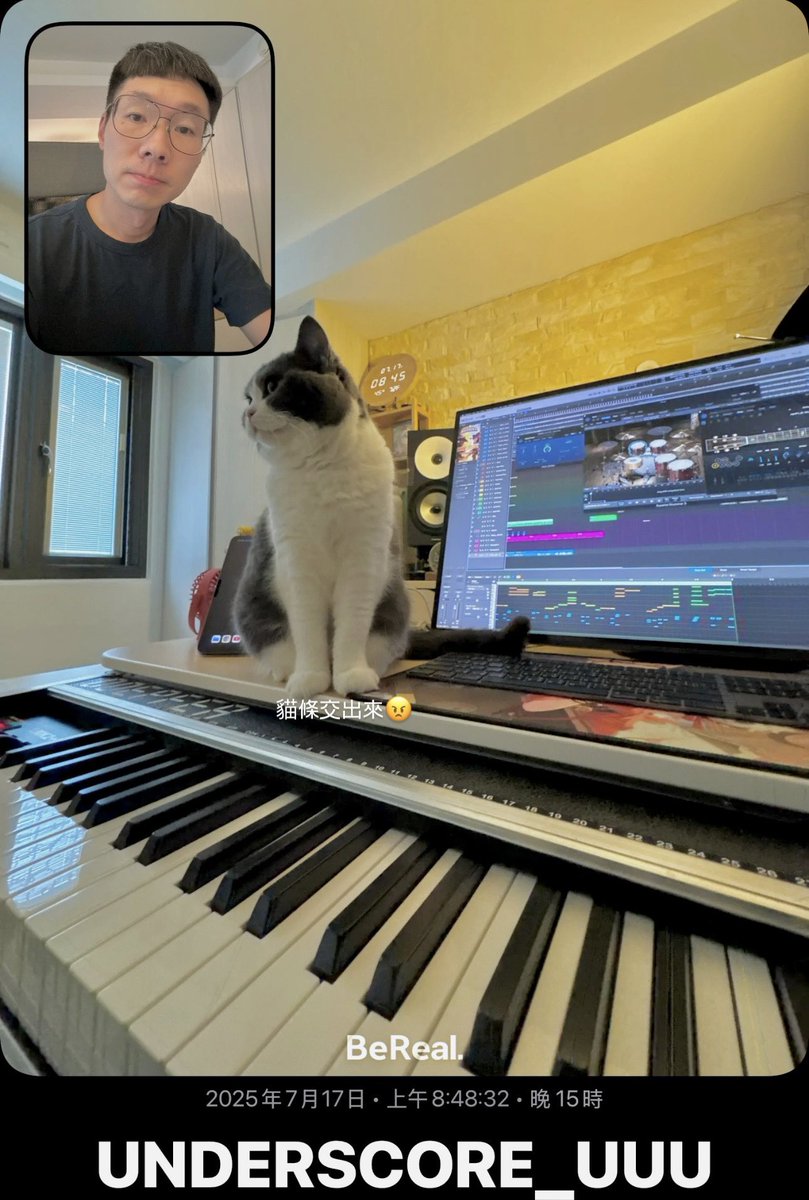 Woke up early to rush work. #MusicDaily #Compose #Music #Producer #SoundDesigner #GameComposer #gamemusic #gameaudio #unclearranger #cat #cats #BritishShorthair #British #Shorthair